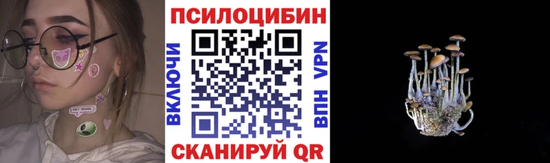 Псилоцибиновые грибы GOLDEN TEACHER продажа наркотиков Яхрома